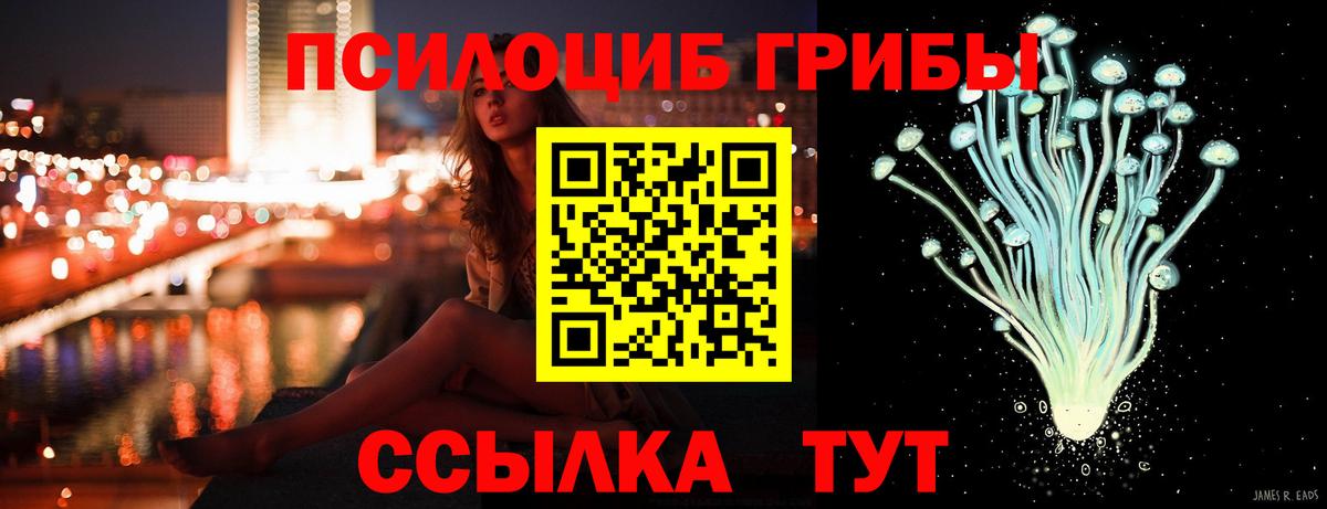 Галлюциногенные грибы Cubensis  Вход с VPN  Мытищи 