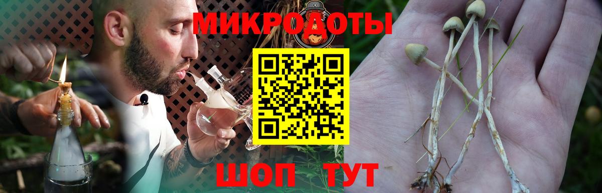 Галлюциногенные грибы Psilocybine cubensis Мытищи